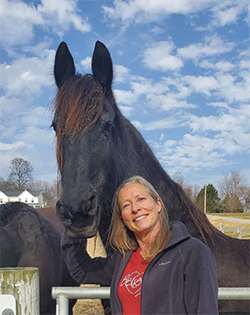 horse at canaan farms
