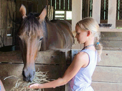 canaan farms scrapbook