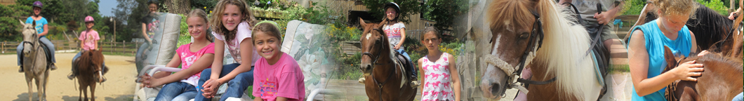 welcome to Canaan Farms